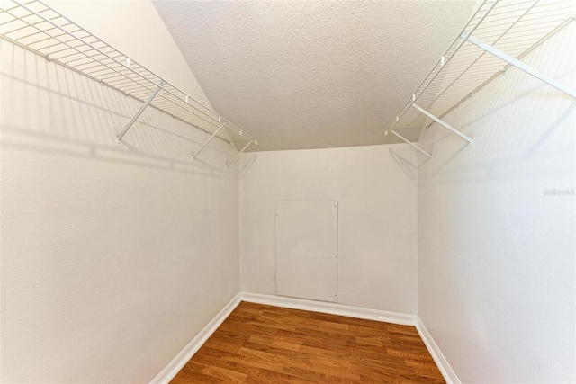 spacious closet with hardwood / wood-style flooring