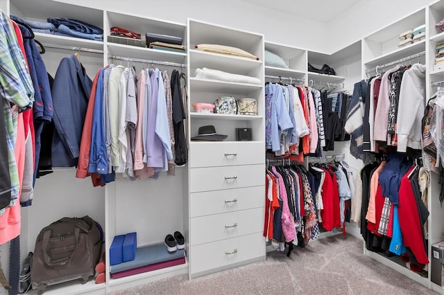 walk in closet with carpet flooring