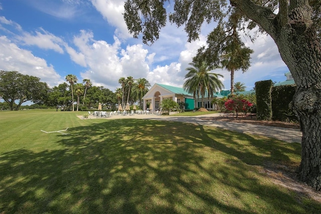 view of community with a lawn