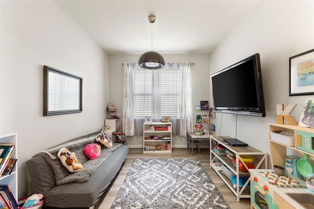 living room with wood-type flooring