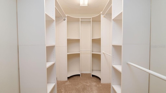 spacious closet with light carpet