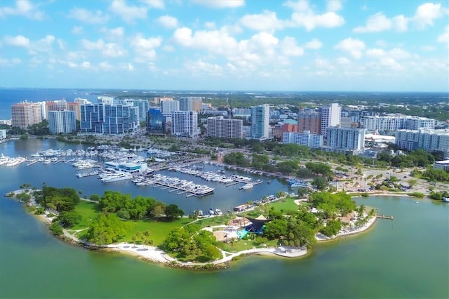 bird's eye view featuring a view of city and a water view