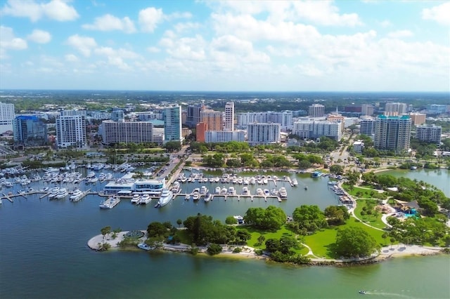 drone / aerial view with a view of city and a water view