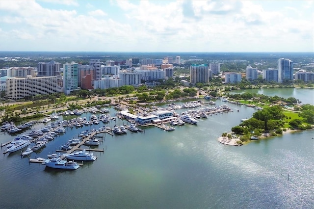 birds eye view of property with a water view and a city view