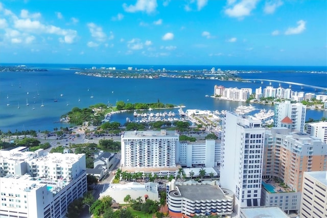 aerial view with a water view and a view of city