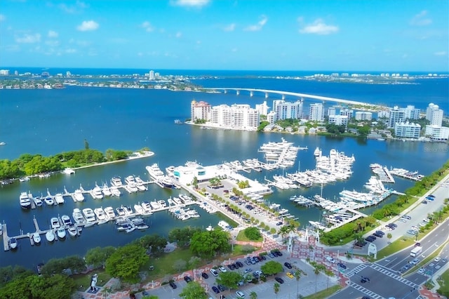 aerial view with a water view and a city view