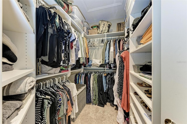 spacious closet with carpet flooring