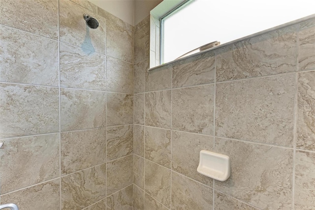 room details with a tile shower