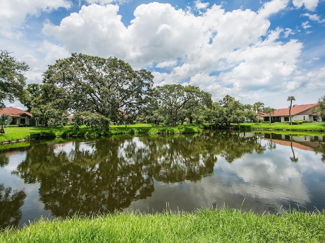 property view of water