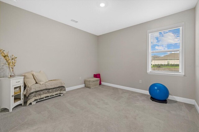 sitting room with light carpet