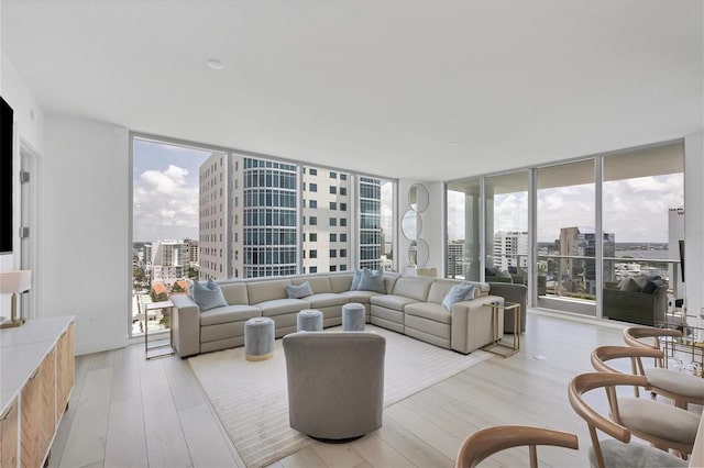 living room featuring expansive windows, a healthy amount of sunlight, and light wood-type flooring