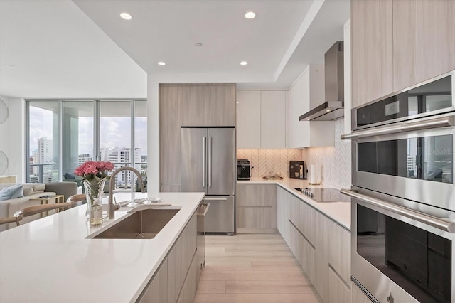 kitchen featuring sink, wall chimney range hood, tasteful backsplash, light hardwood / wood-style flooring, and appliances with stainless steel finishes