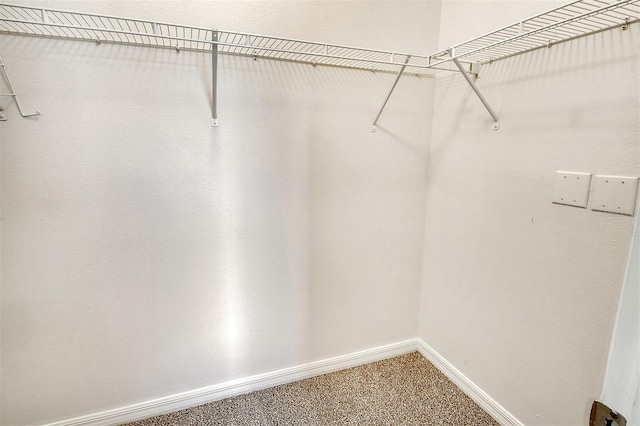 walk in closet featuring carpet floors