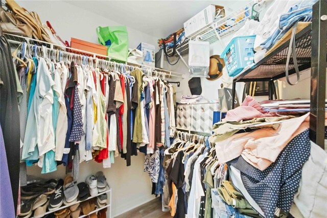 view of walk in closet