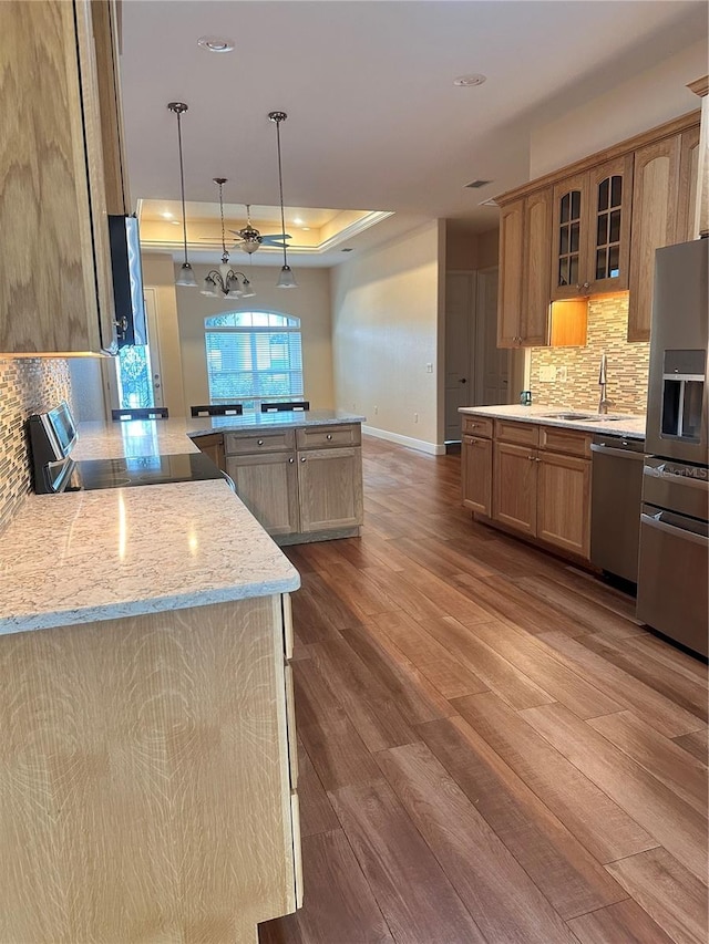 kitchen with backsplash, sink, appliances with stainless steel finishes, wood-type flooring, and a tray ceiling