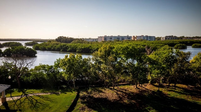 property view of water