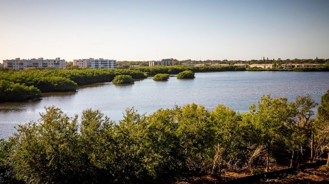 9955 Key Haven Rd, Seminole, FL 33777 - property view of water