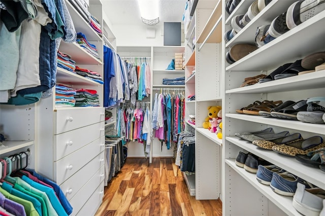 walk in closet featuring light hardwood / wood-style floors