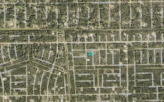 Listing photo 3 for 126 Napier Ave S, Lehigh Acres FL 33974