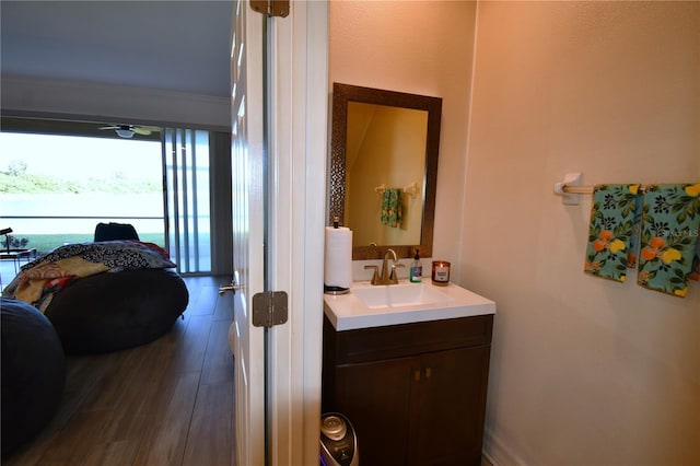 bathroom featuring vanity and wood-type flooring