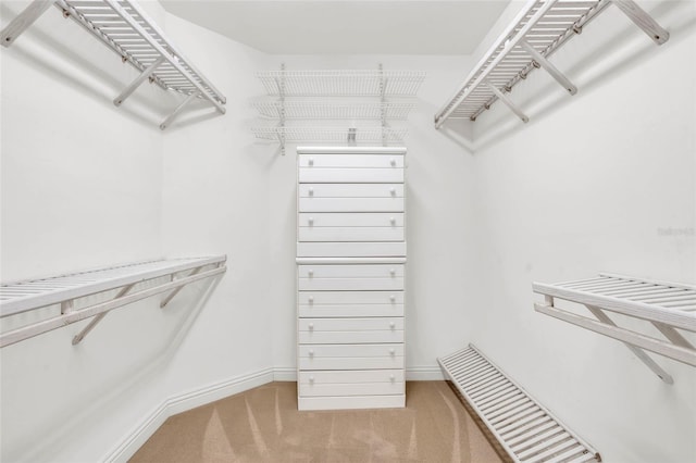 spacious closet with carpet