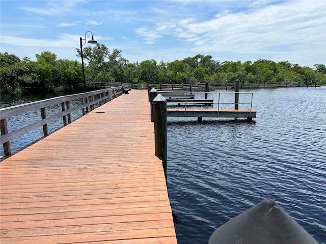 dock area with a water view