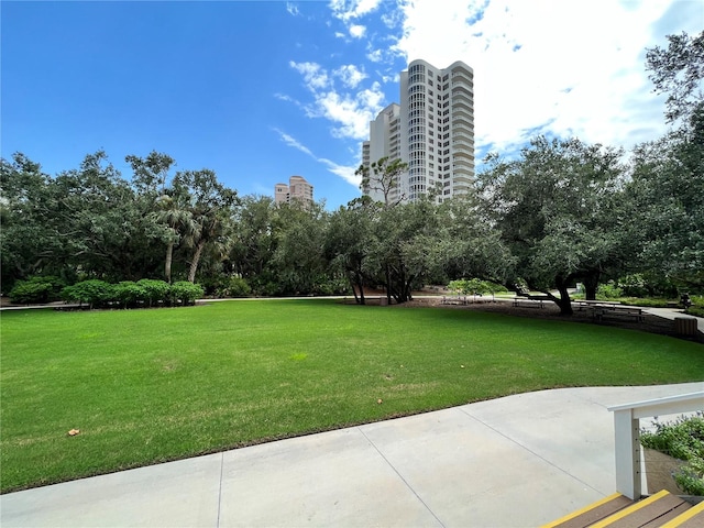 view of property's community featuring a yard