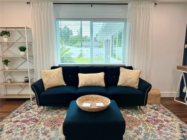 living room featuring wood-type flooring