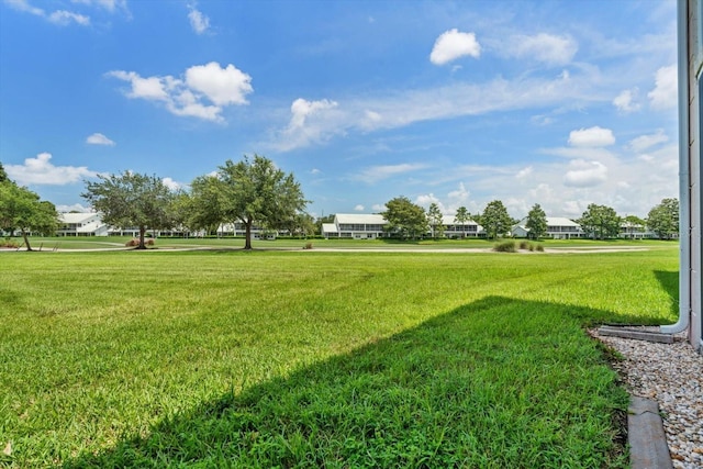 view of community with a yard