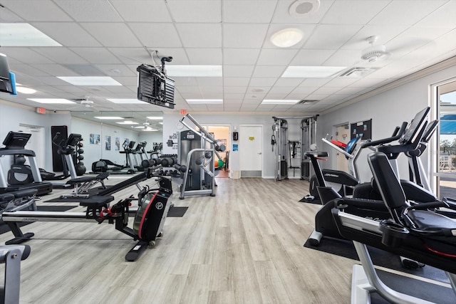 gym featuring ceiling fan, light hardwood / wood-style flooring, and a drop ceiling