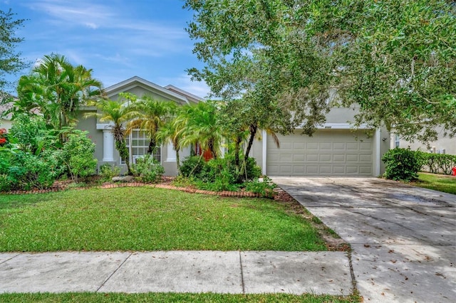 view of front of home featuring a front yard, driveway, and stucco siding