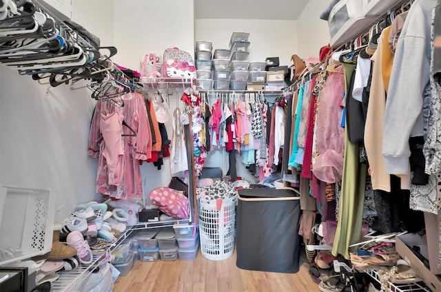 spacious closet with hardwood / wood-style floors