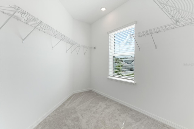 spacious closet with carpet flooring