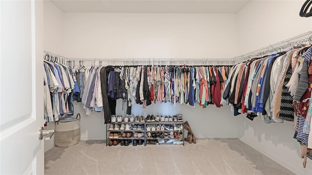 walk in closet with carpet