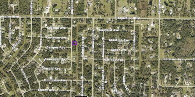 Listing photo 2 for Buckboard St, North Port FL 34291