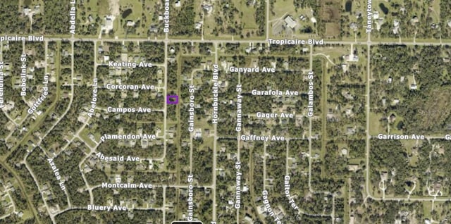 Listing photo 2 for Buckboard St, North Port FL 34291