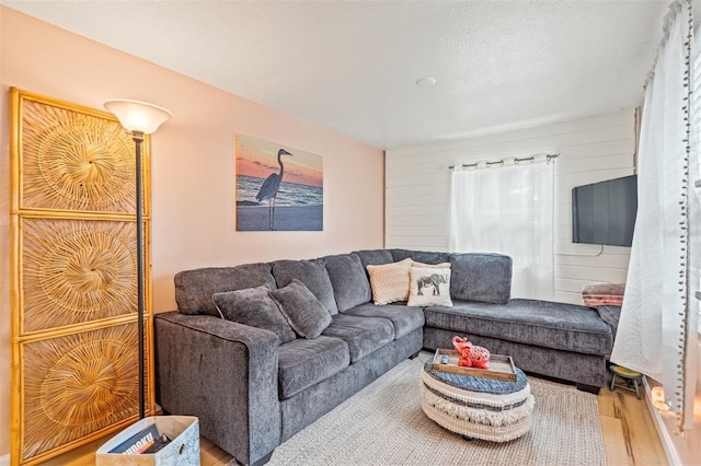 living room with hardwood / wood-style flooring and a textured ceiling