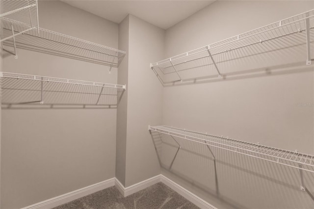 spacious closet with carpet floors