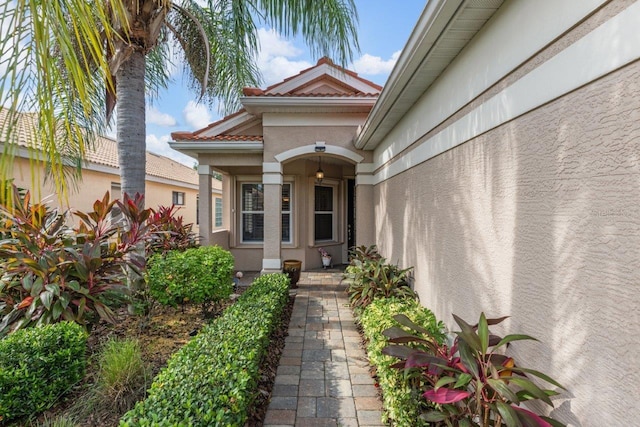 doorway to property featuring stucco siding