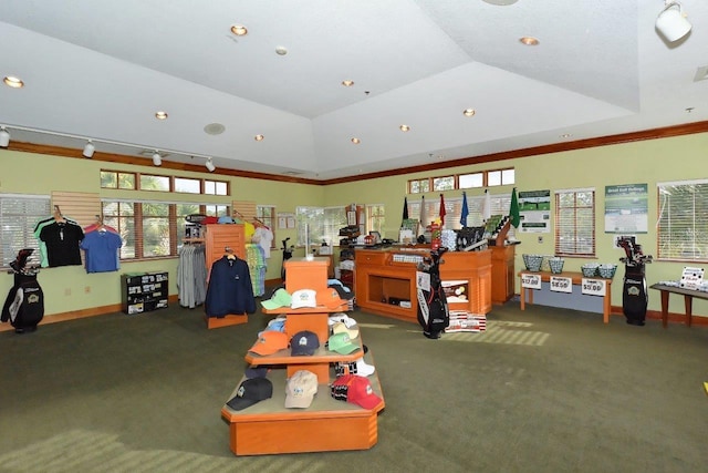 interior space with track lighting, carpet floors, and a tray ceiling