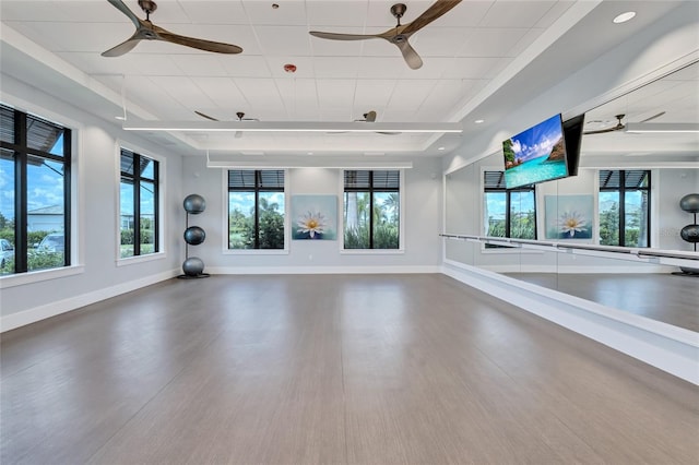 exercise area featuring ceiling fan and hardwood / wood-style flooring