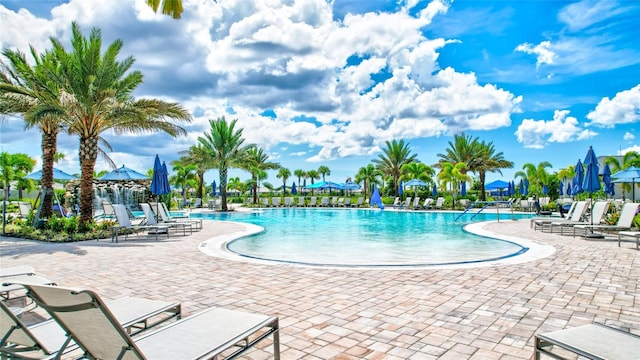 view of pool featuring a patio area