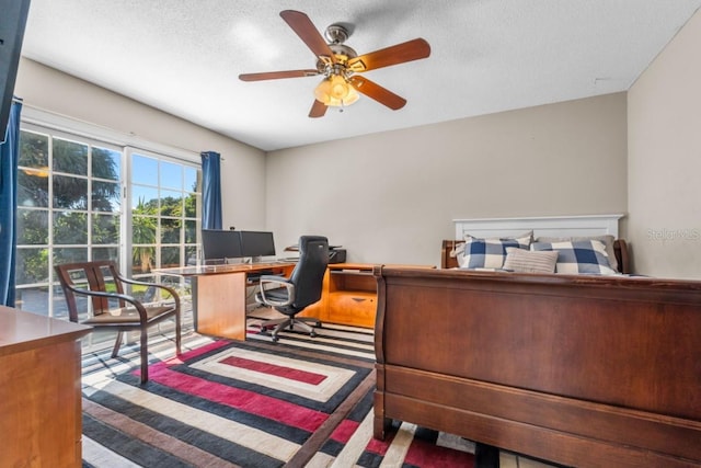 carpeted office space with ceiling fan and a textured ceiling