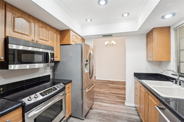 kitchen with a notable chandelier, stainless steel appliances, sink, a raised ceiling, and light hardwood / wood-style floors