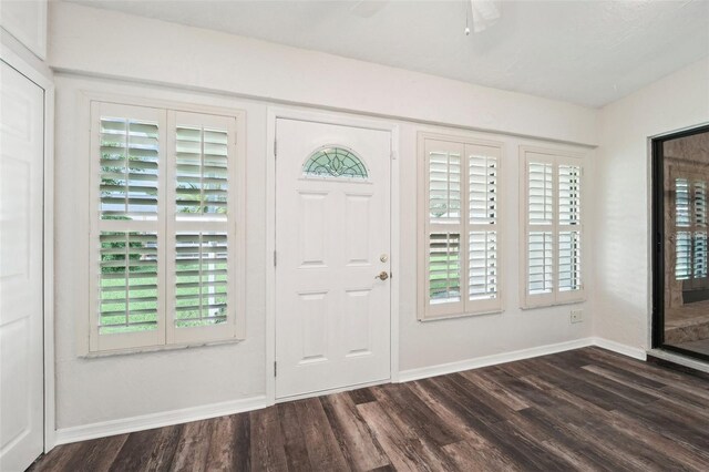 entryway with ceiling fan and dark hardwood / wood-style flooring