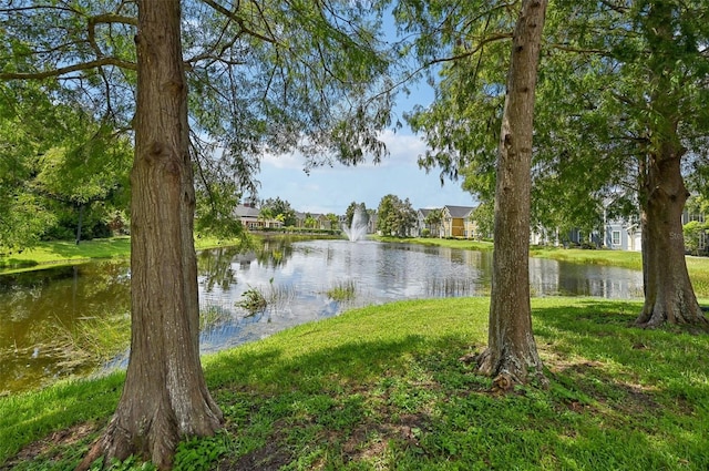 property view of water