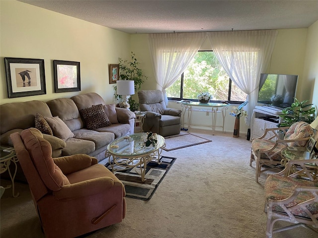 carpeted living room with a textured ceiling