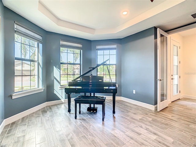 misc room featuring plenty of natural light, a raised ceiling, and light wood-type flooring