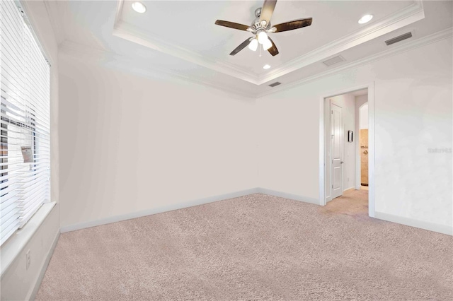 spare room featuring a tray ceiling, a wealth of natural light, and crown molding