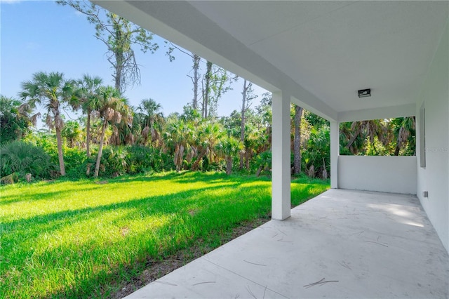 view of yard featuring a patio